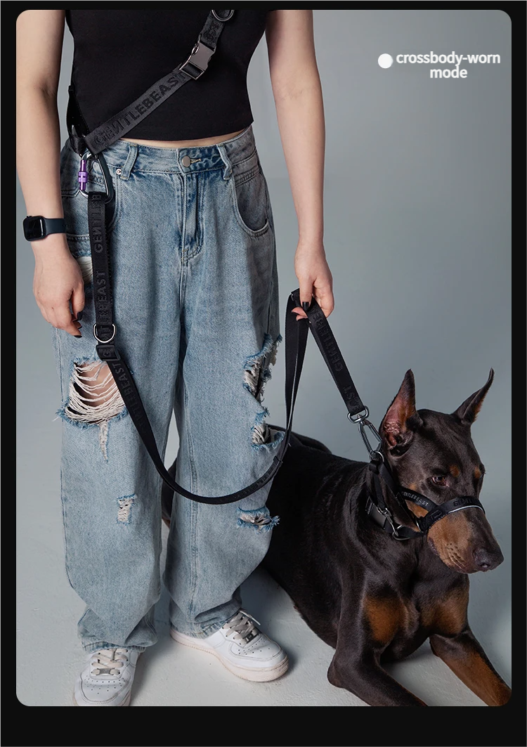 Midnight Walker Multi-Functional Belt detail image 6