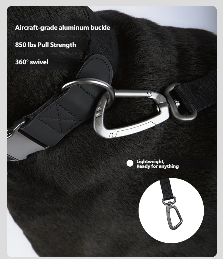 Midnight Walker Short Leash – Moonless Night detail image 5