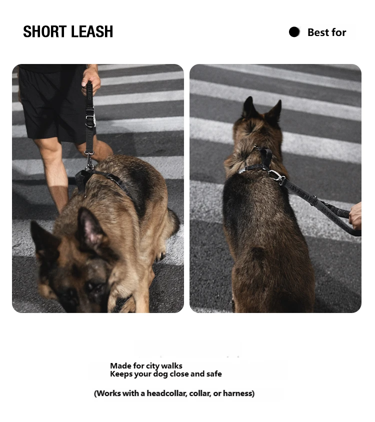 Midnight Walker Short Leash – Moonless Night detail image 6