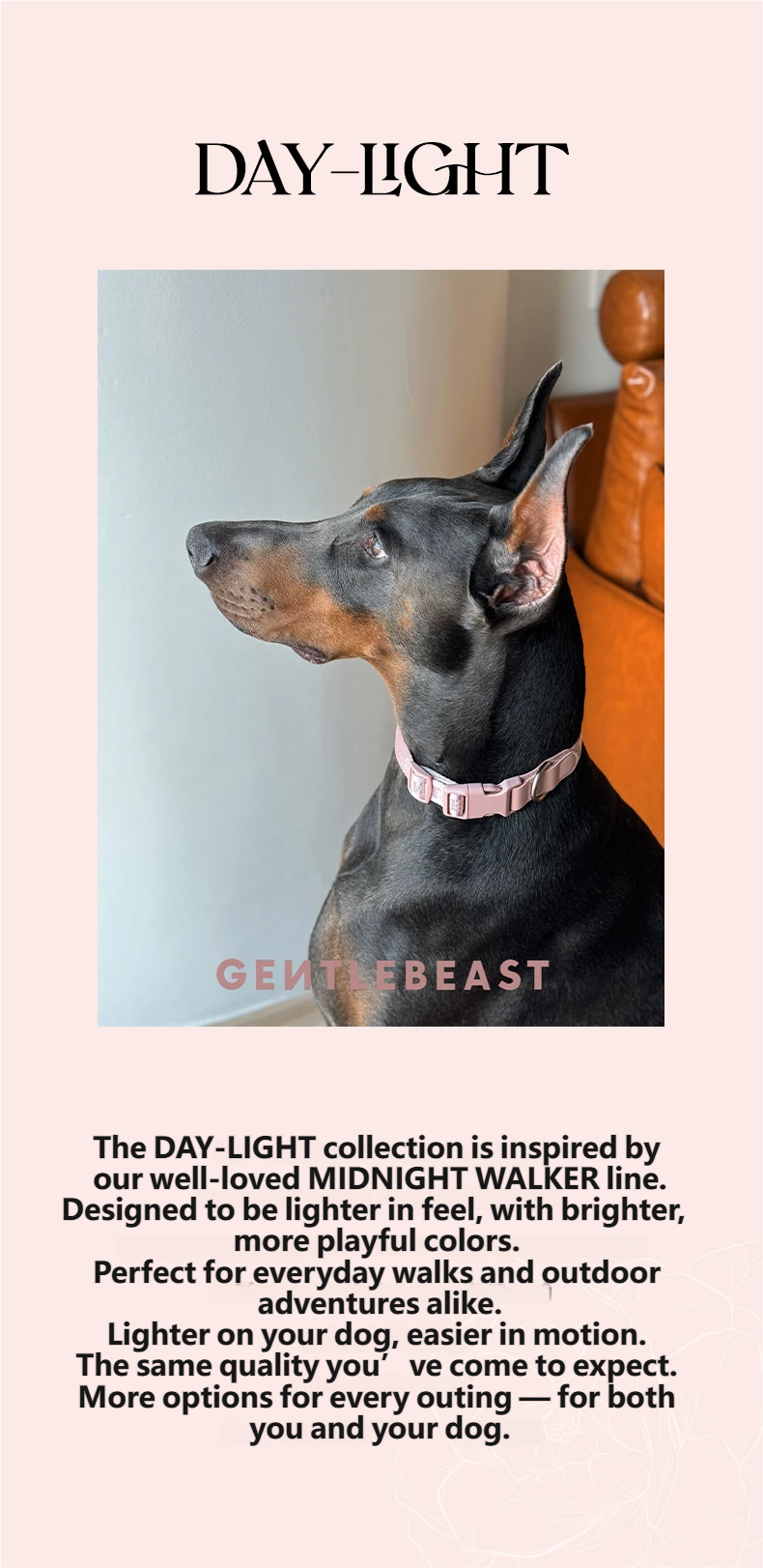 DAY-LIGHT Dog Collar XL – Ash Rose detail image 1