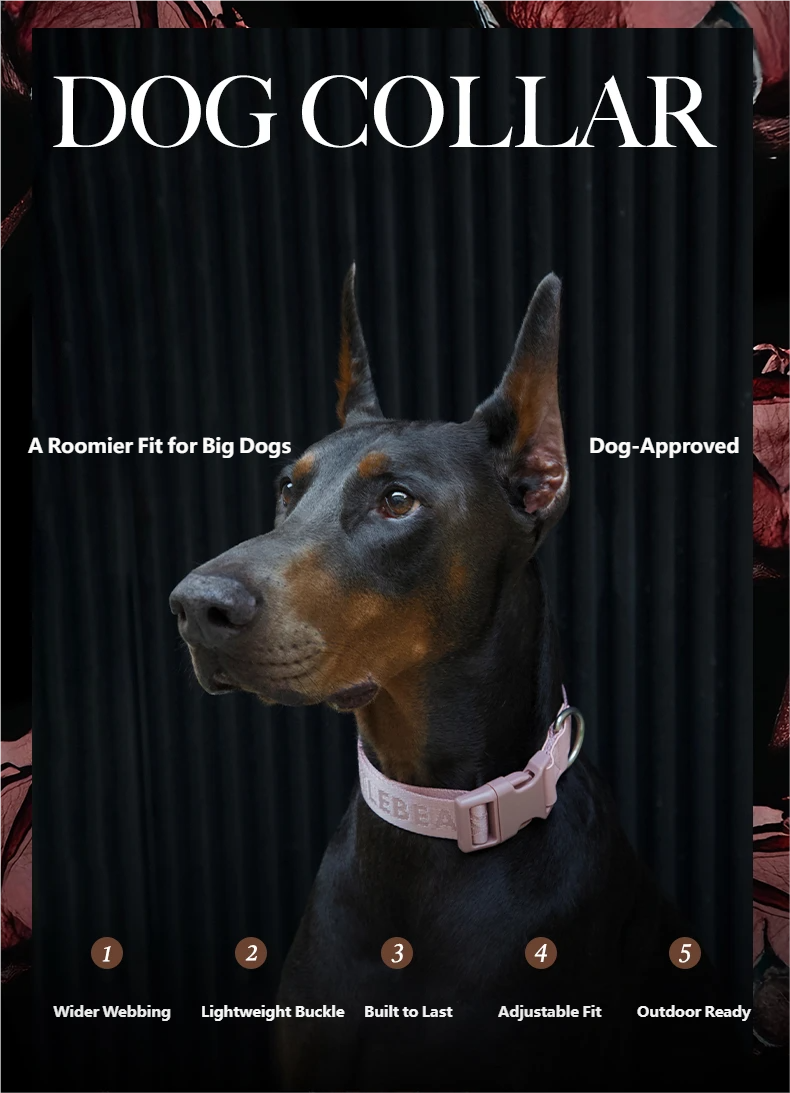 DAY-LIGHT Dog Collar XL – Ash Rose detail image 2