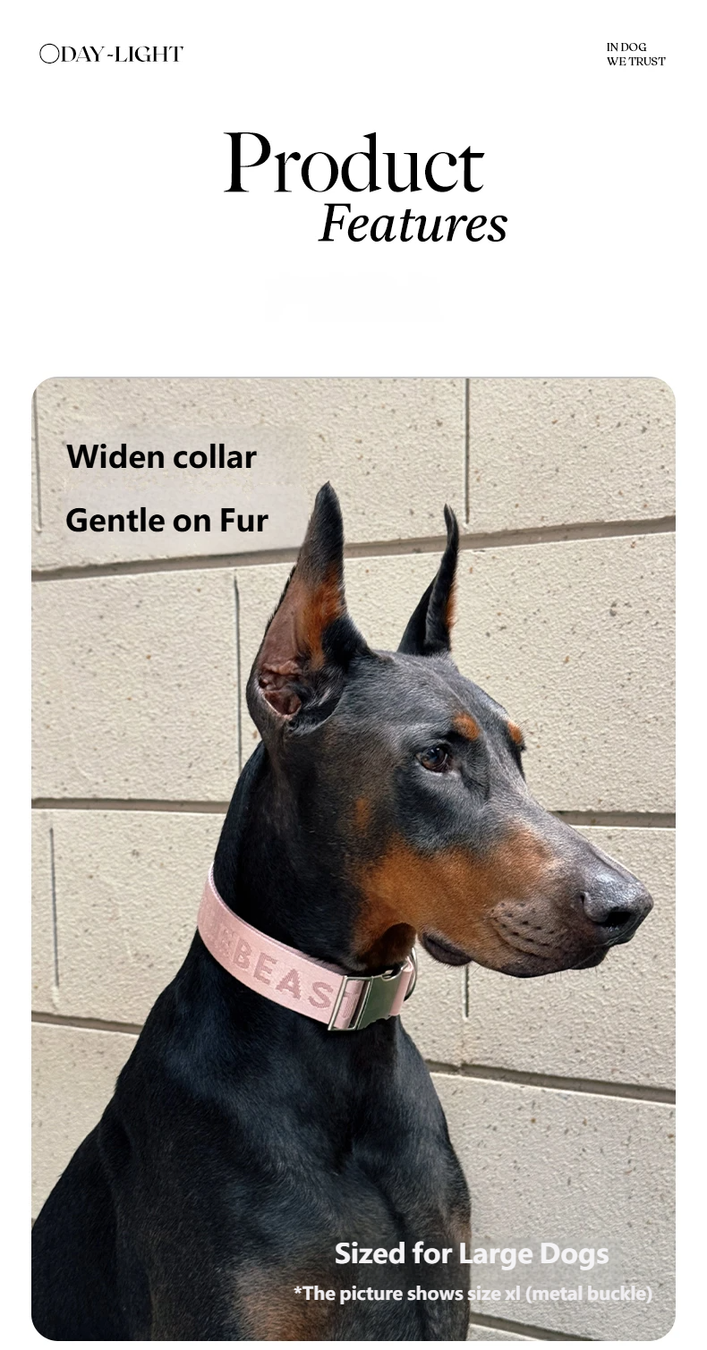 DAY-LIGHT Dog Collar XL – Ash Rose detail image 4
