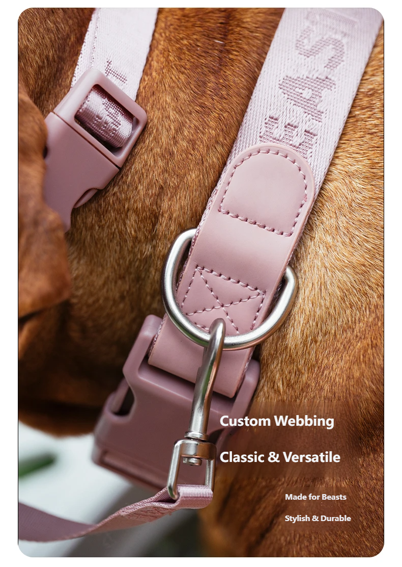 DAY-LIGHT Dog Collar XL – Ash Rose detail image 5