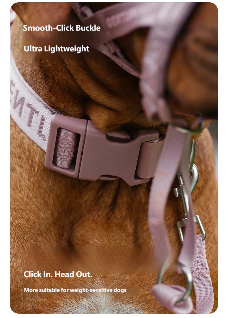 DAY-LIGHT Dog Collar XL – Ash Rose detail image 6