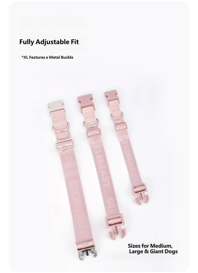 DAY-LIGHT Dog Collar XL – Ash Rose detail image 8