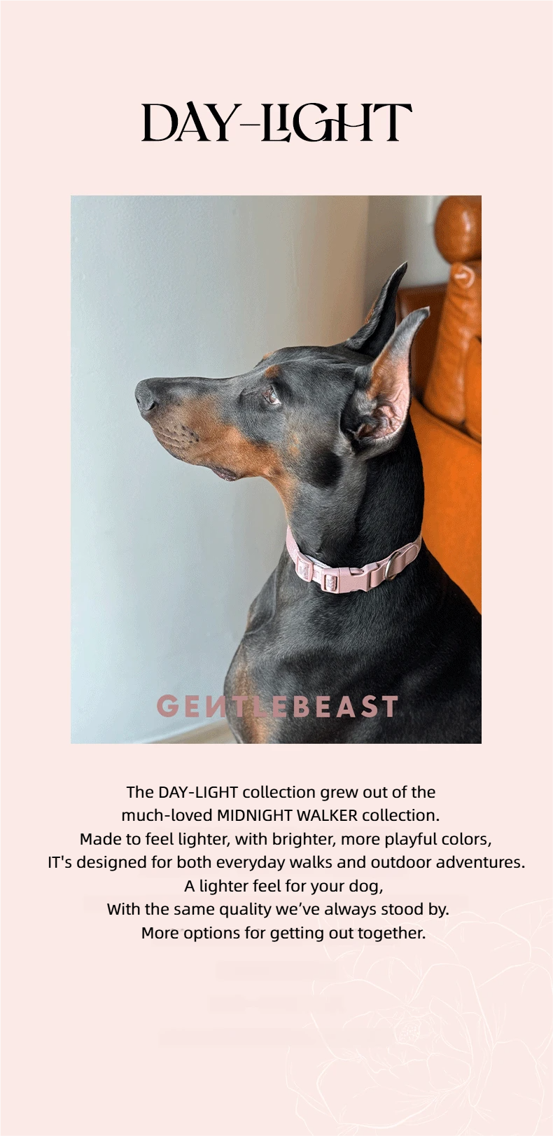 DAY-LIGHT Dog Leash – Ash Rose detail image 1