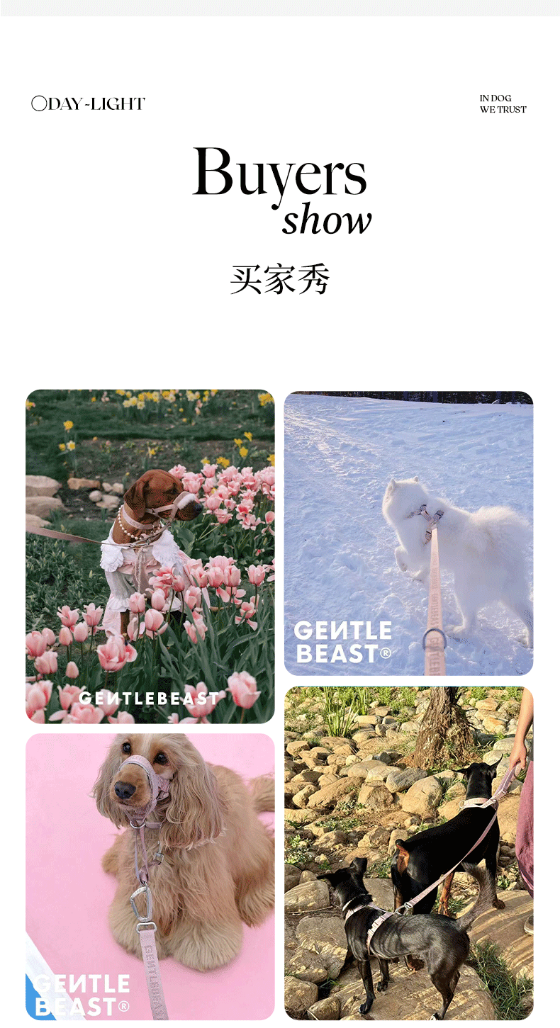 DAY-LIGHT Dog Leash – Ash Rose detail image 12