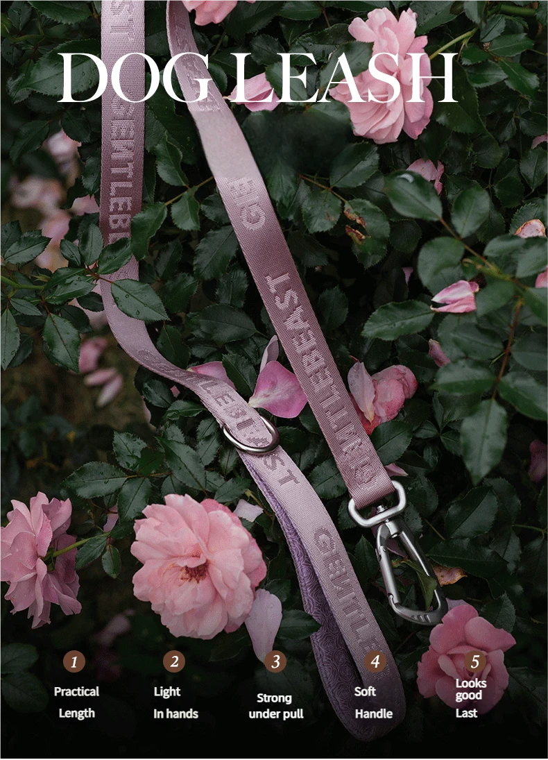 DAY-LIGHT Dog Leash – Ash Rose detail image 2