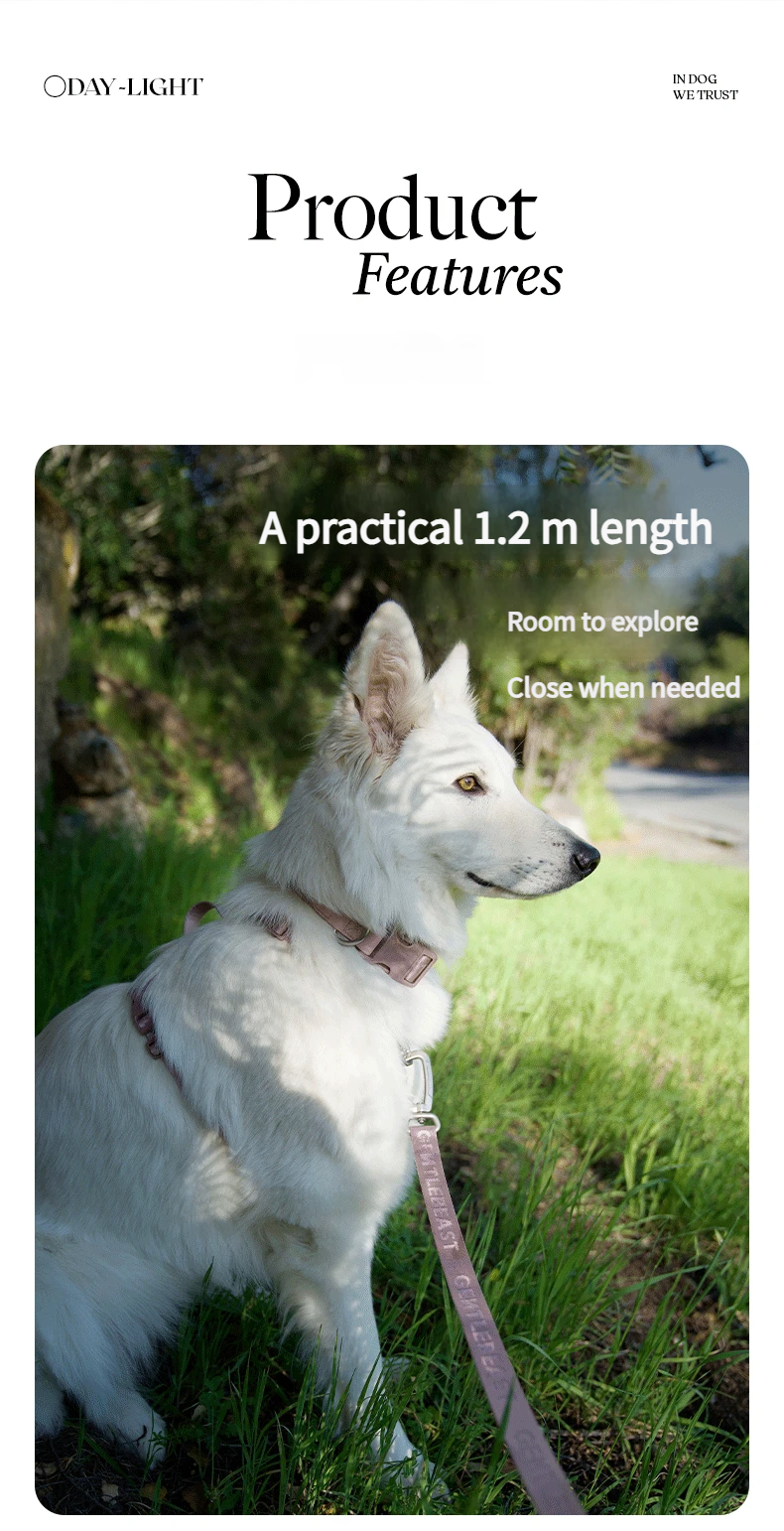 DAY-LIGHT Dog Leash – Ash Rose detail image 4