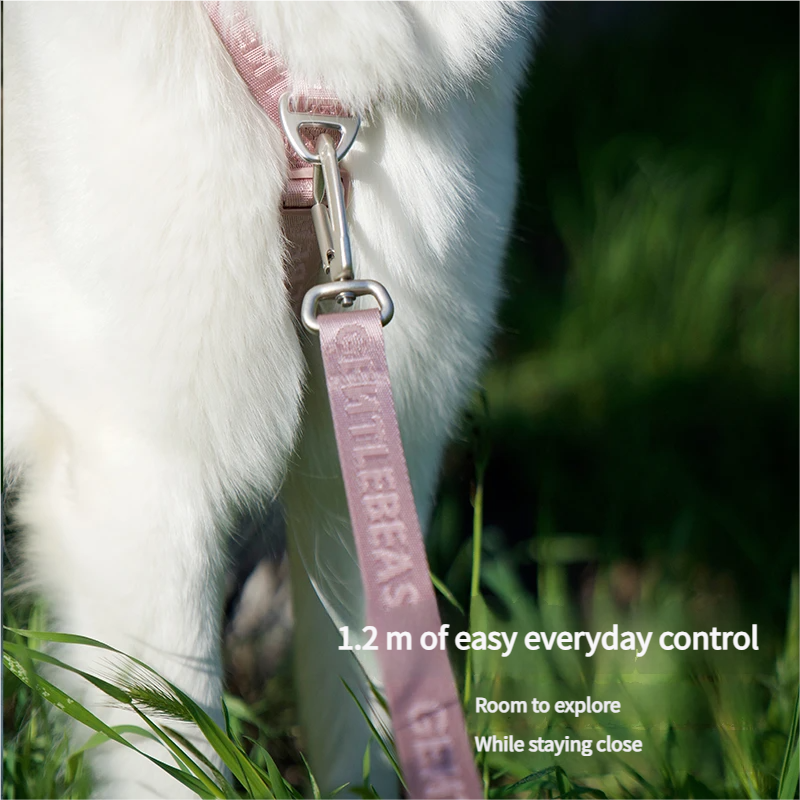 DAY-LIGHT Dog Leash – Ash Rose detail image 5