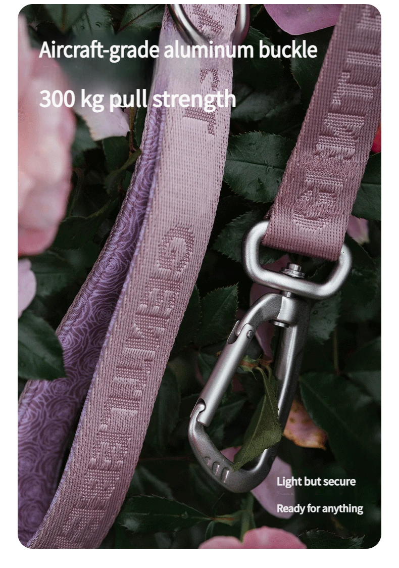 DAY-LIGHT Dog Leash – Ash Rose detail image 7
