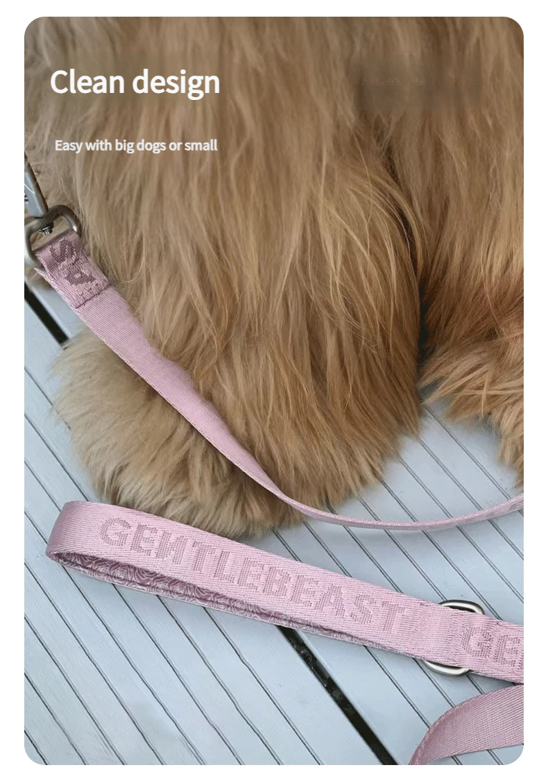 DAY-LIGHT Dog Leash – Ash Rose detail image 9