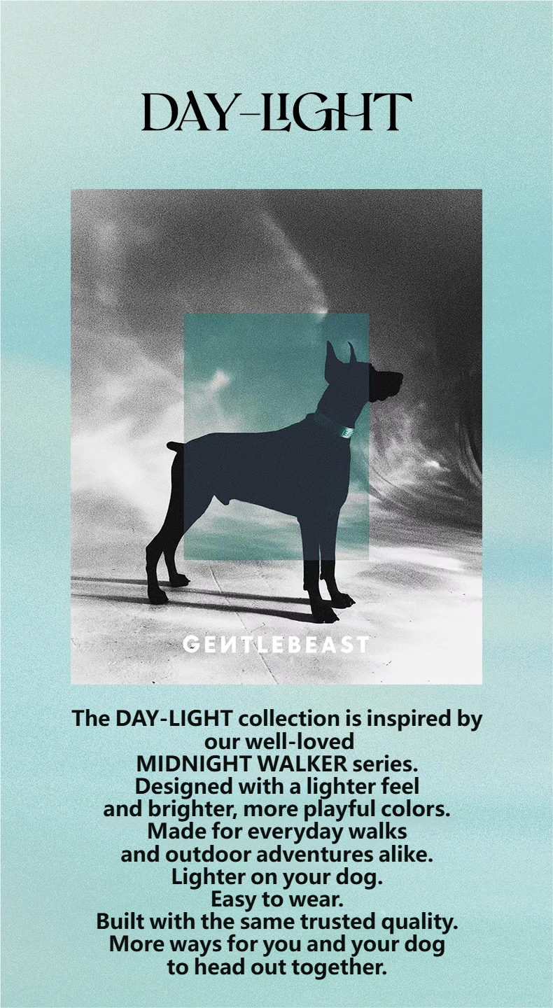 DAY-LIGHT Dog Headcollar – Aqua Marina detail image 1