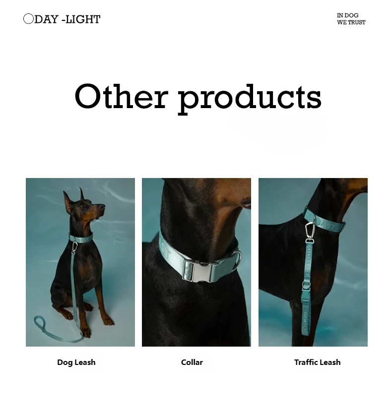 DAY-LIGHT Dog Headcollar – Aqua Marina detail image 4