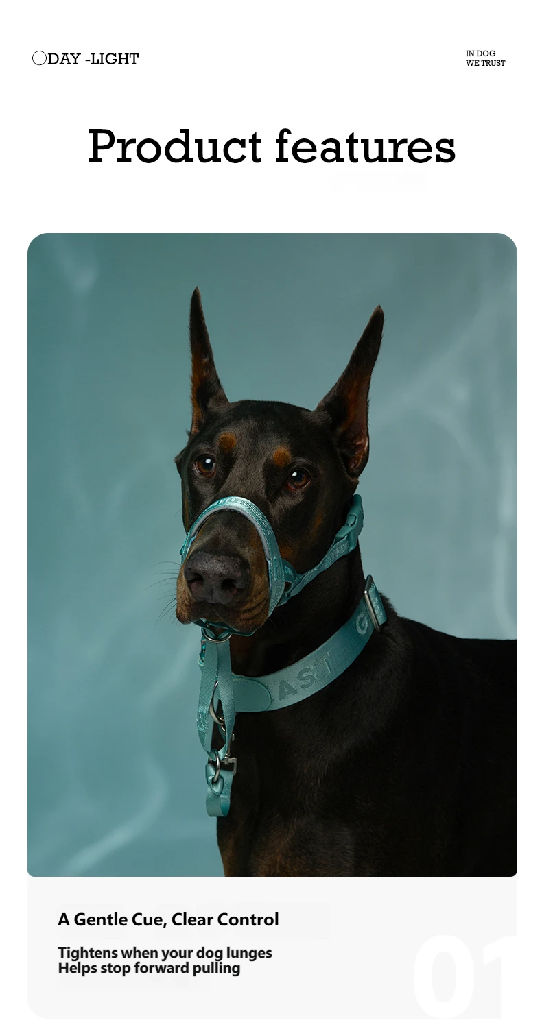 DAY-LIGHT Dog Headcollar – Aqua Marina detail image 6