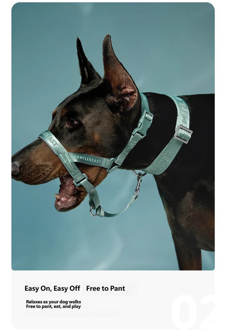 DAY-LIGHT Dog Headcollar – Aqua Marina detail image 7