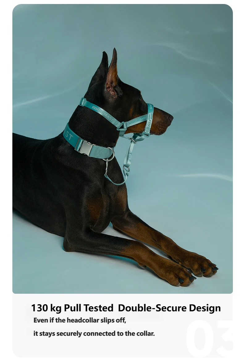 DAY-LIGHT Dog Headcollar – Aqua Marina detail image 8
