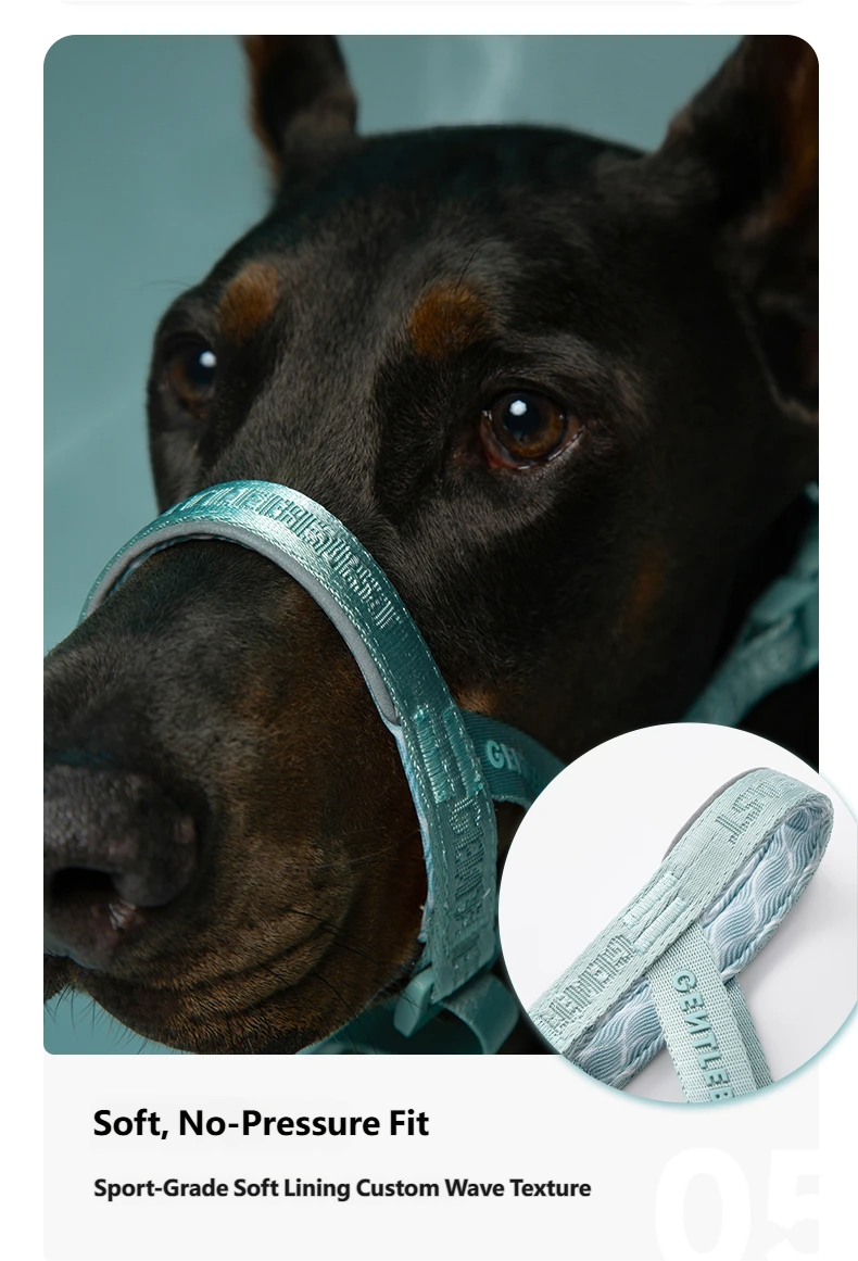 DAY-LIGHT Dog Headcollar – Aqua Marina detail image 10