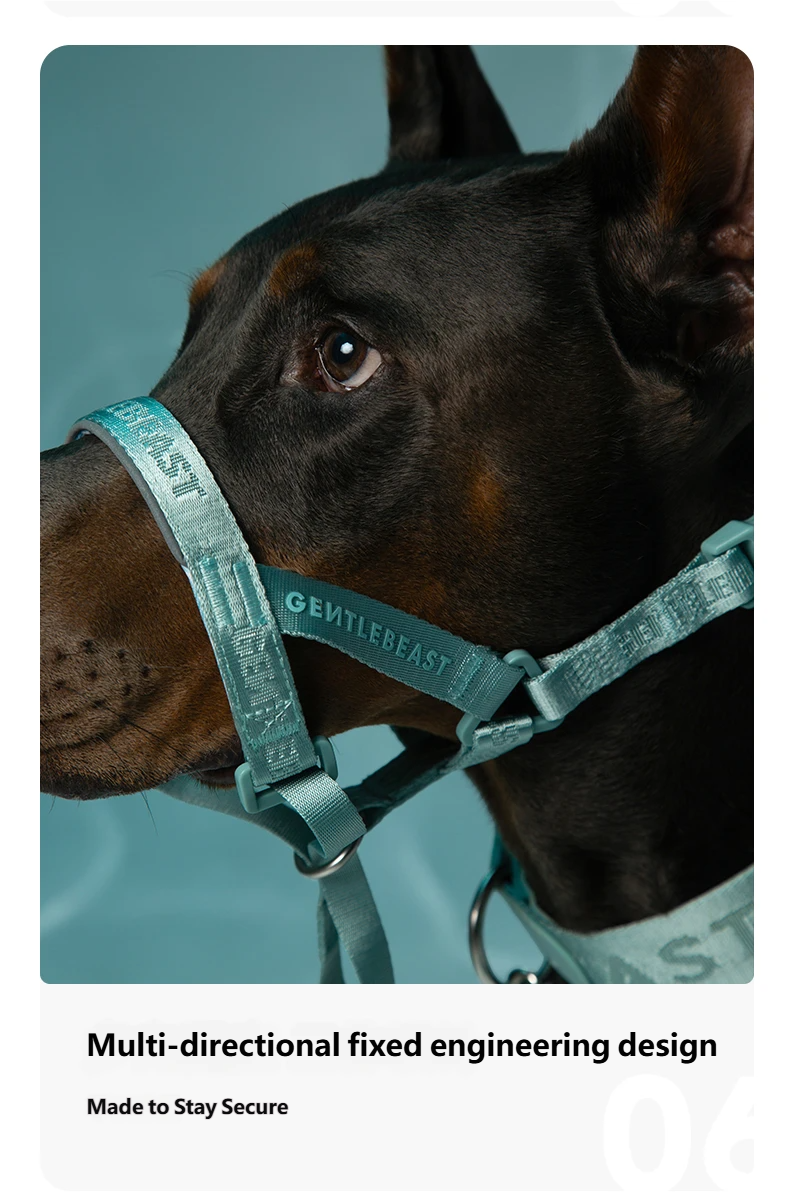 DAY-LIGHT Dog Headcollar – Aqua Marina detail image 11