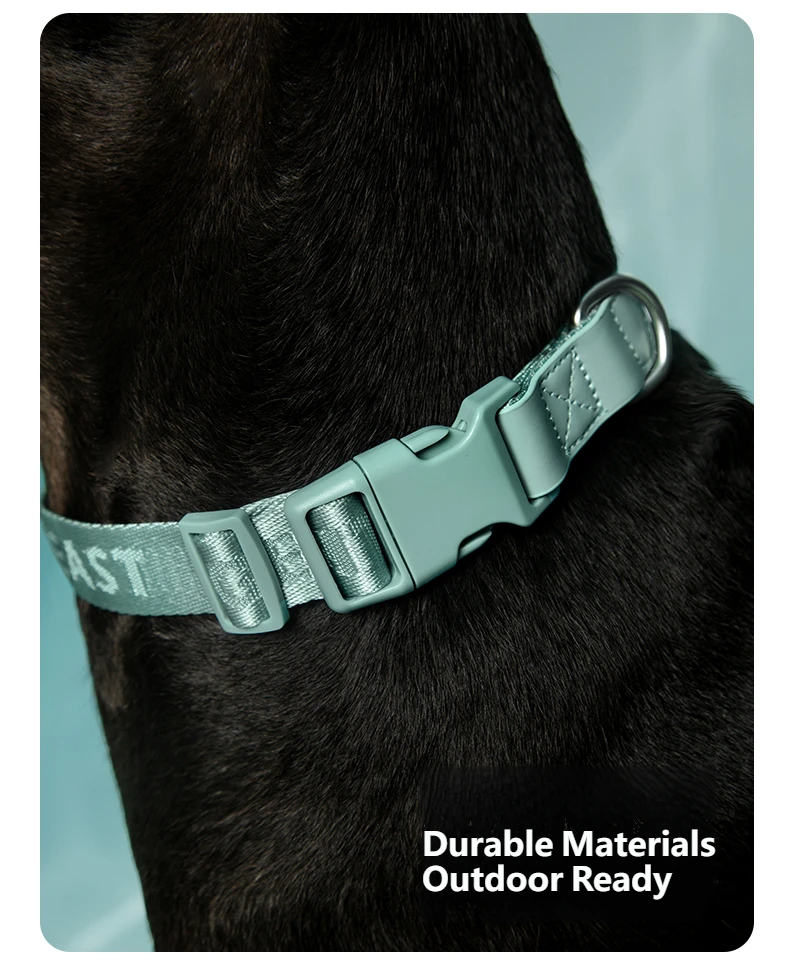 DAY-LIGHT Dog Headcollar – Aqua Marina detail image 13