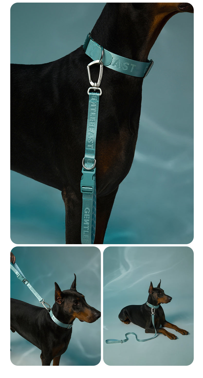 DAY-LIGHT Dog Headcollar – Aqua Marina detail image 16