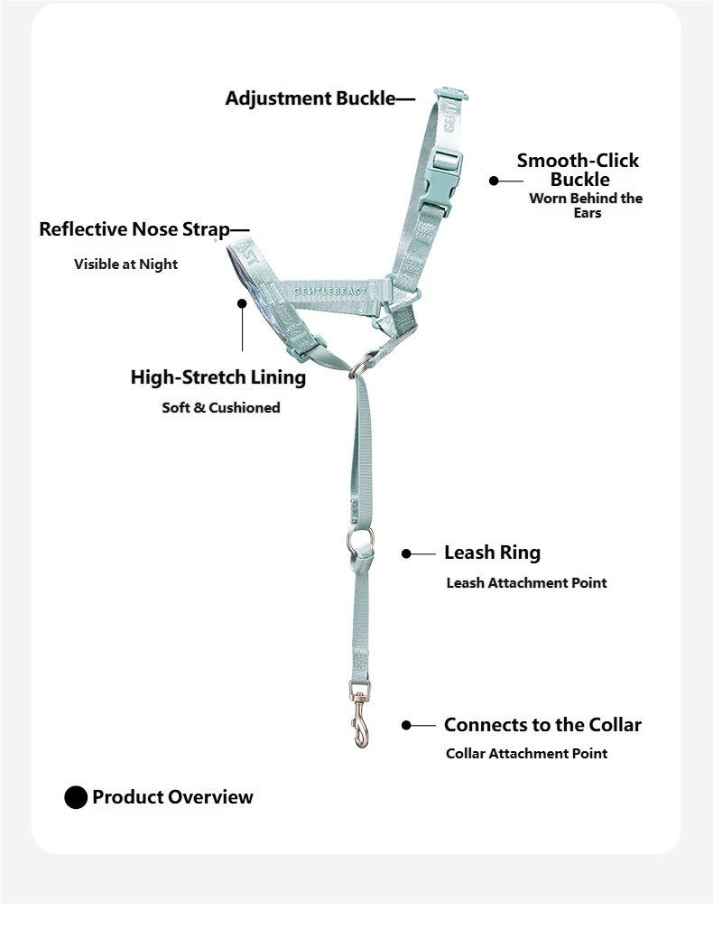 DAY-LIGHT Dog Headcollar – Aqua Marina detail image 18