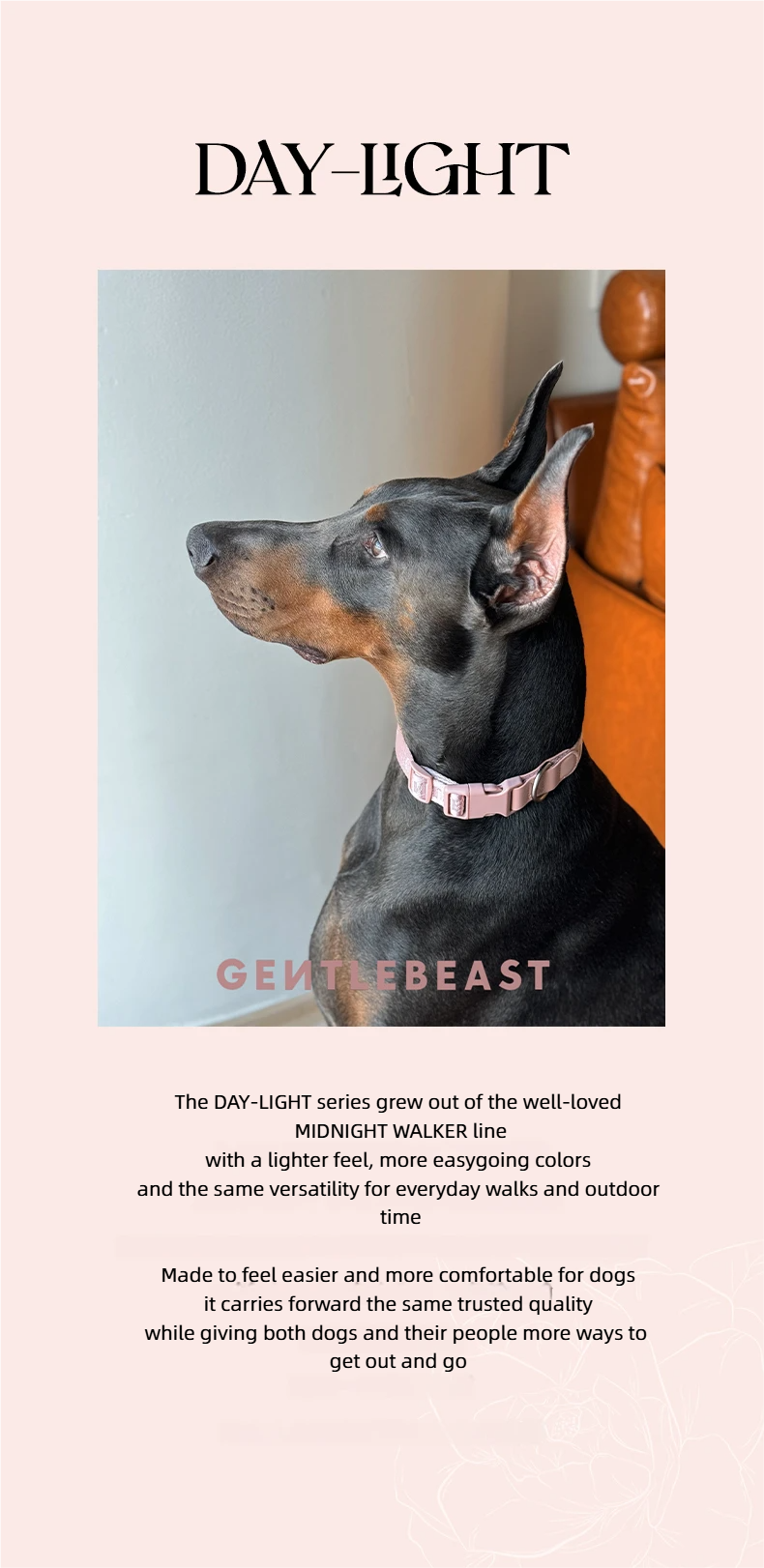 DAY-LIGHT Short Leash – Ash Rose detail image 1