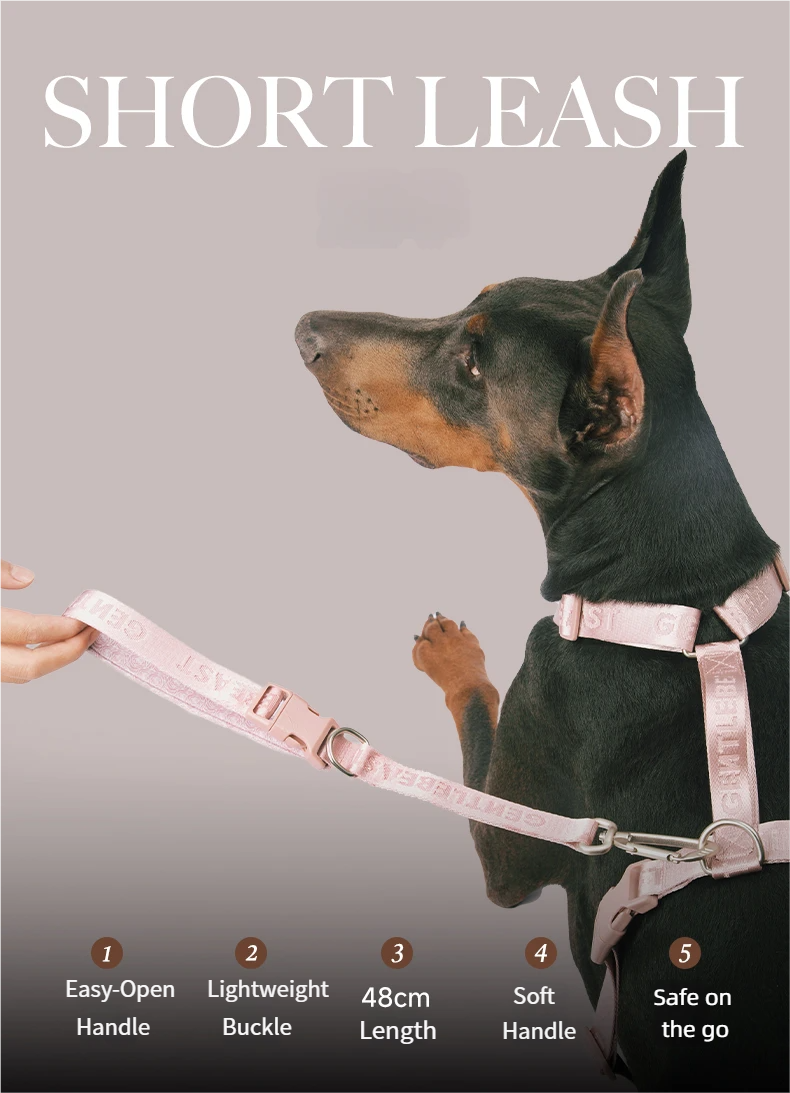 DAY-LIGHT Short Leash – Ash Rose detail image 2