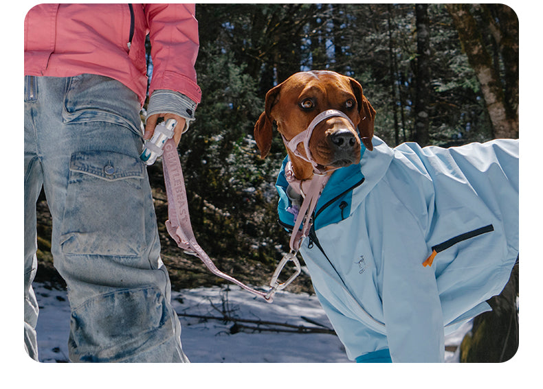 DAY-LIGHT Short Leash – Ash Rose detail image 11