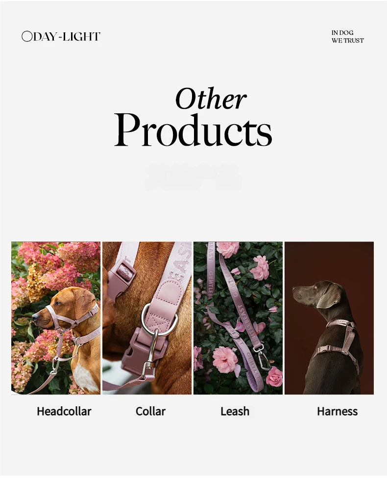 DAY-LIGHT Short Leash – Ash Rose detail image 3
