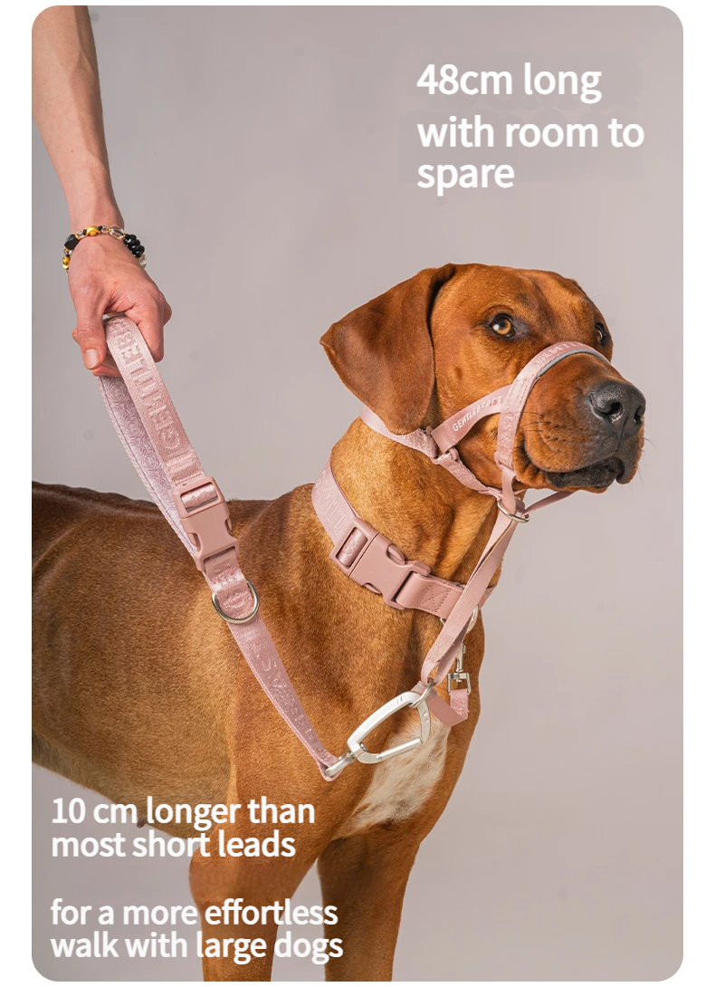 DAY-LIGHT Short Leash – Ash Rose detail image 5