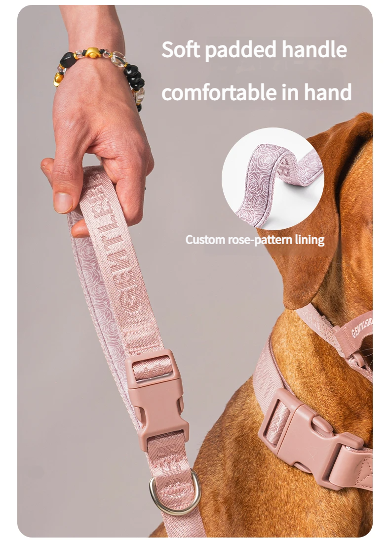DAY-LIGHT Short Leash – Ash Rose detail image 6