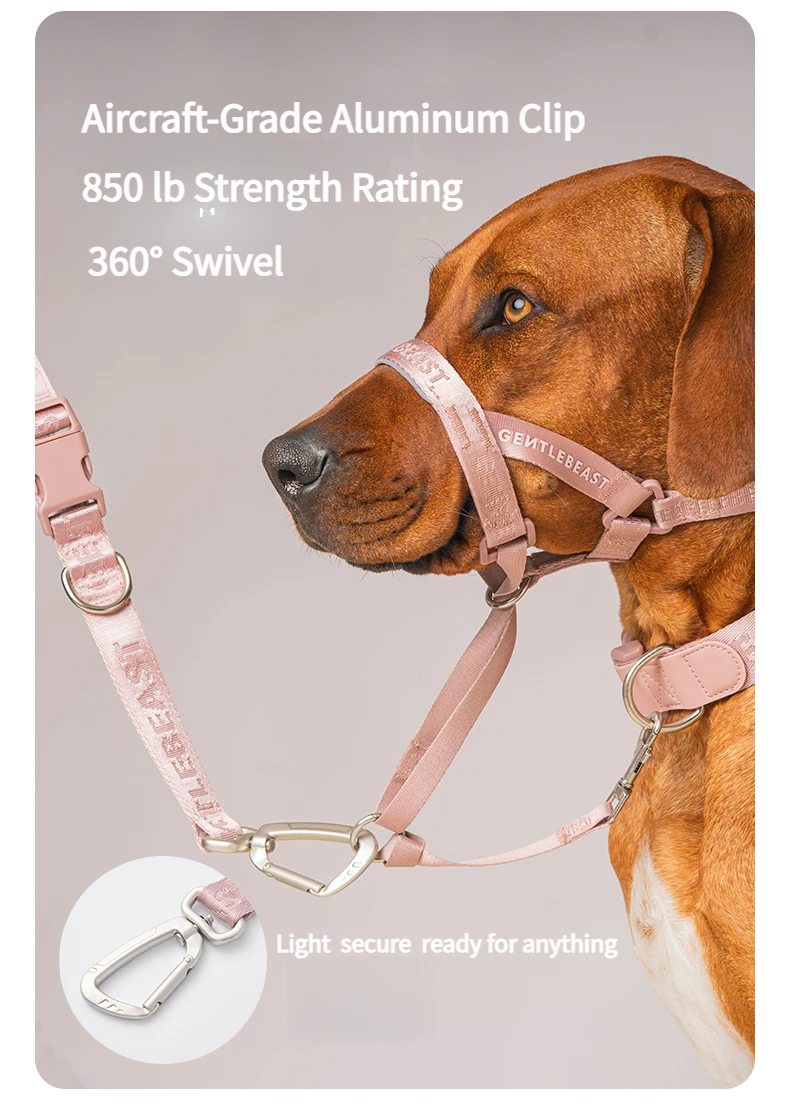 DAY-LIGHT Short Leash – Ash Rose detail image 7