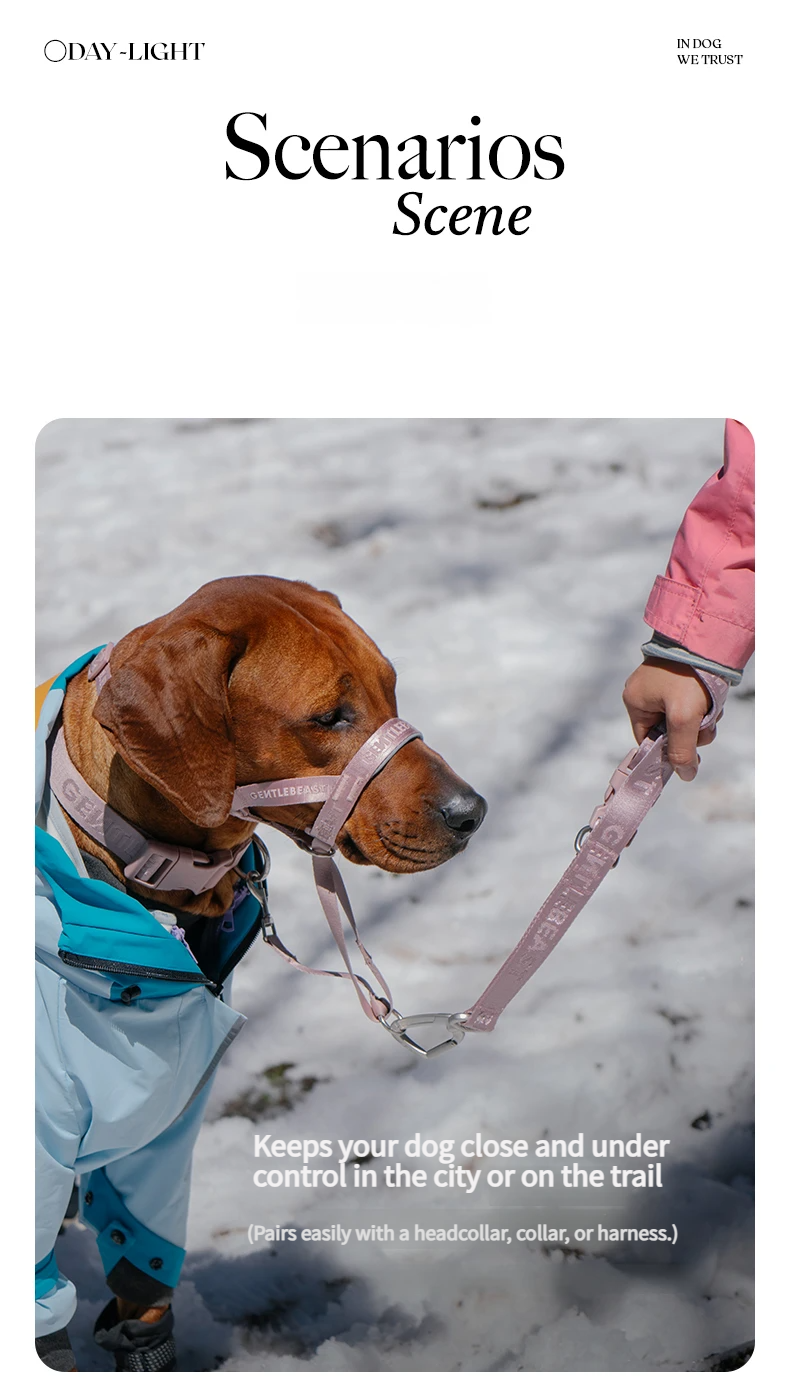 DAY-LIGHT Short Leash – Ash Rose detail image 10