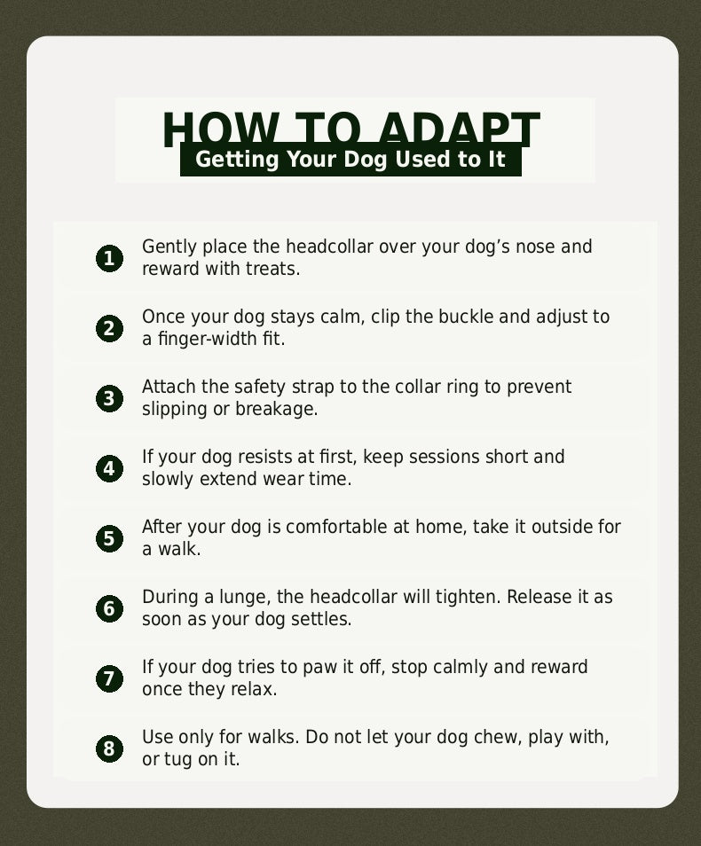 Midnight Walker Dog Headcollar – Hidden Forest detail image 15