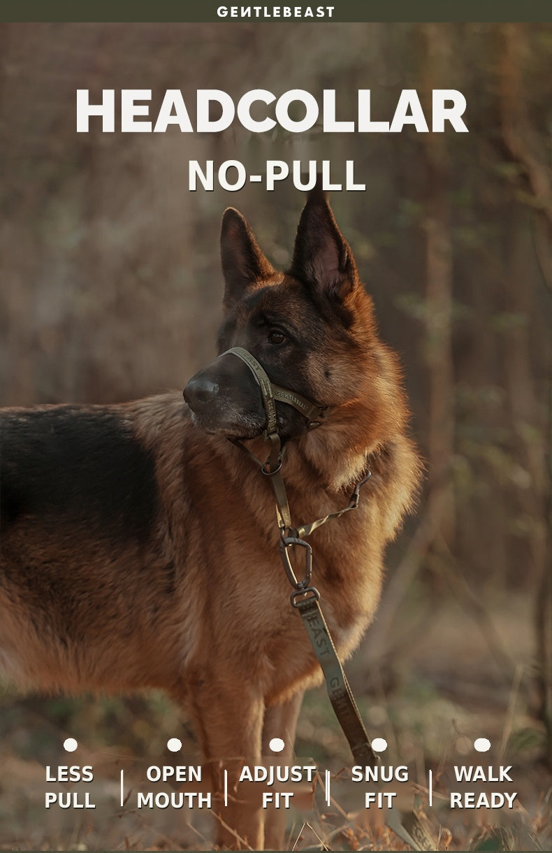 Midnight Walker Dog Headcollar – Hidden Forest detail image 2