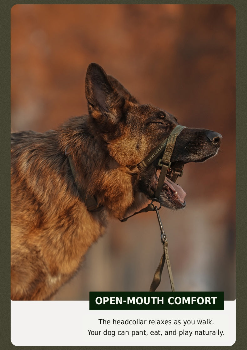 Midnight Walker Dog Headcollar – Hidden Forest detail image 5