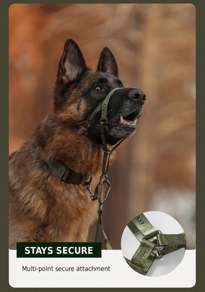 Midnight Walker Dog Headcollar – Hidden Forest detail image 8