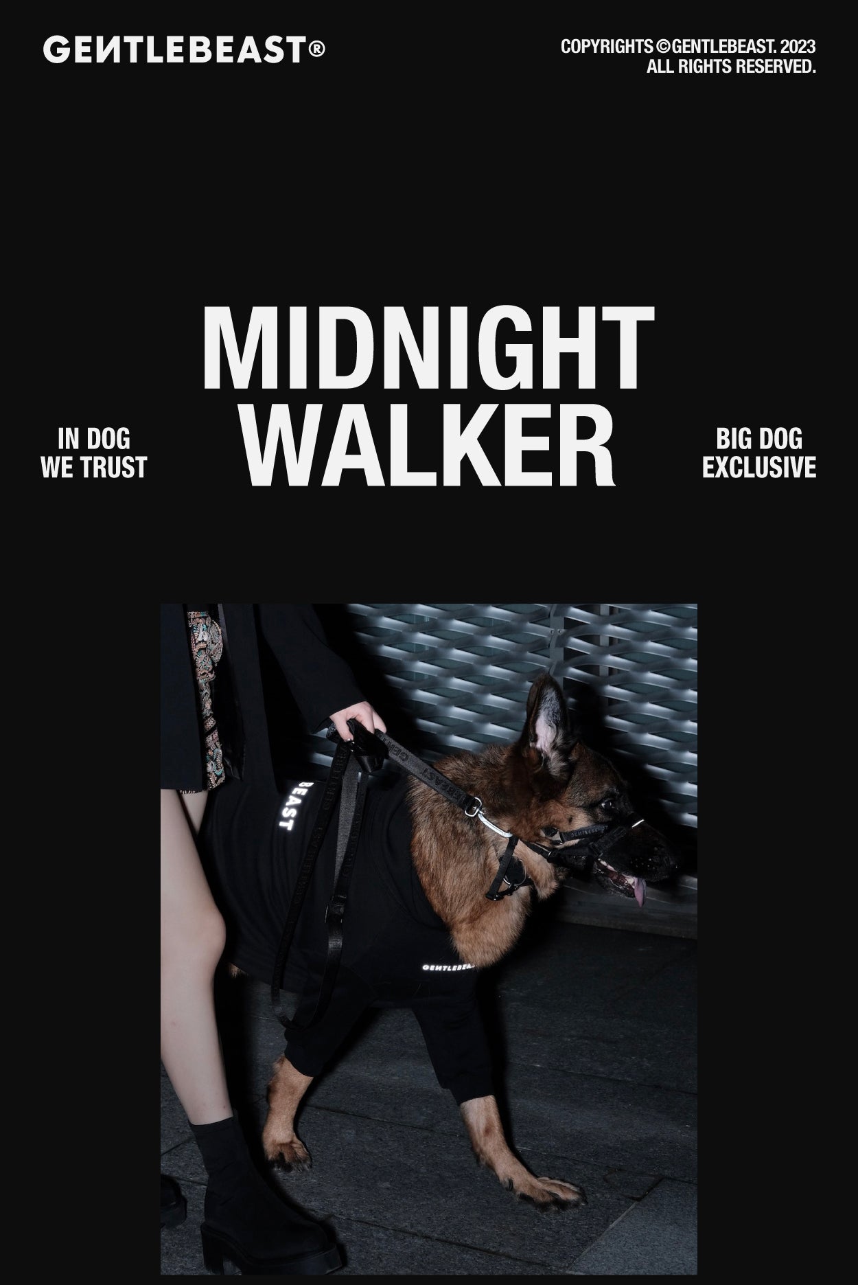 Midnight Walker Dog Headcollar – Moonless Night detail image 1