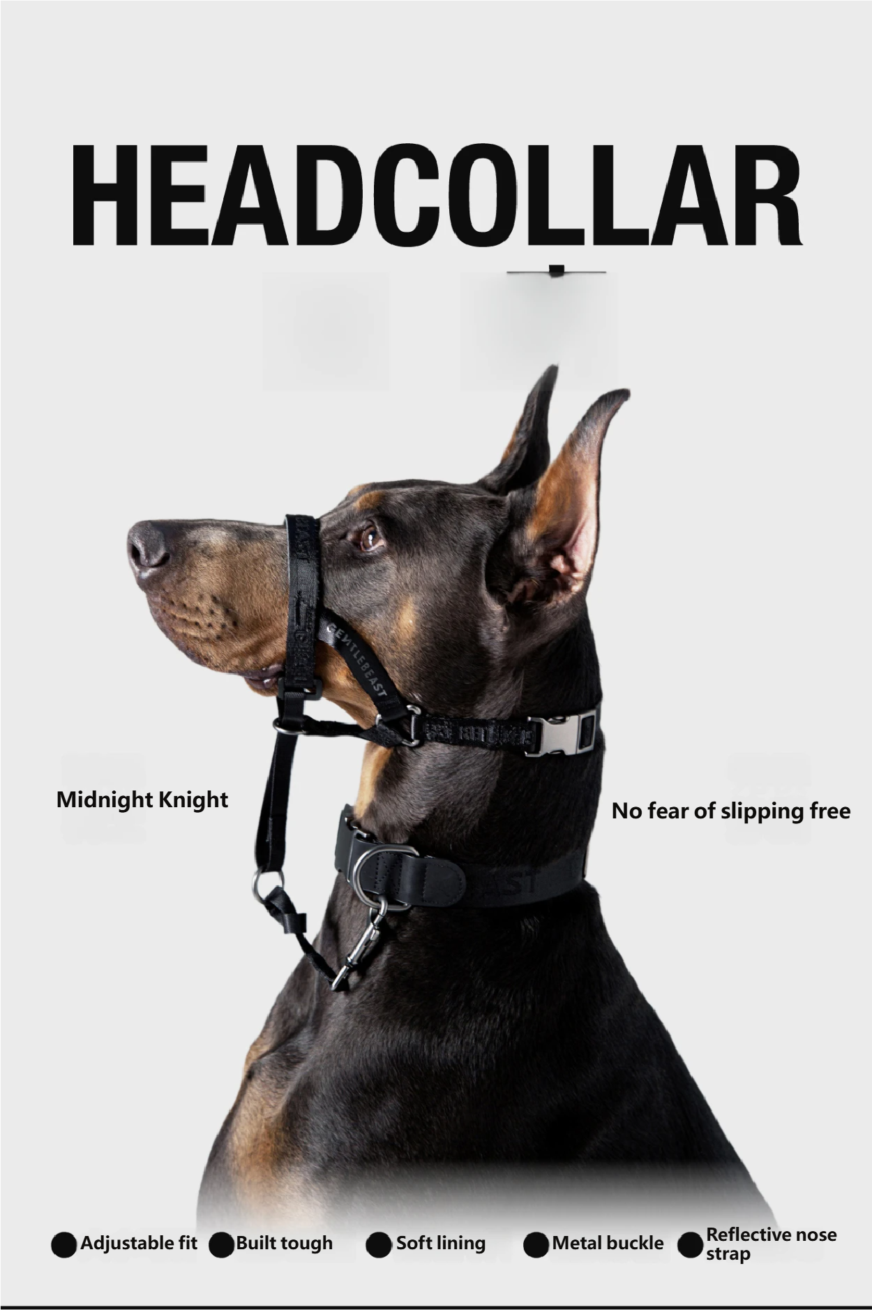 Midnight Walker Dog Headcollar – Moonless Night detail image 3