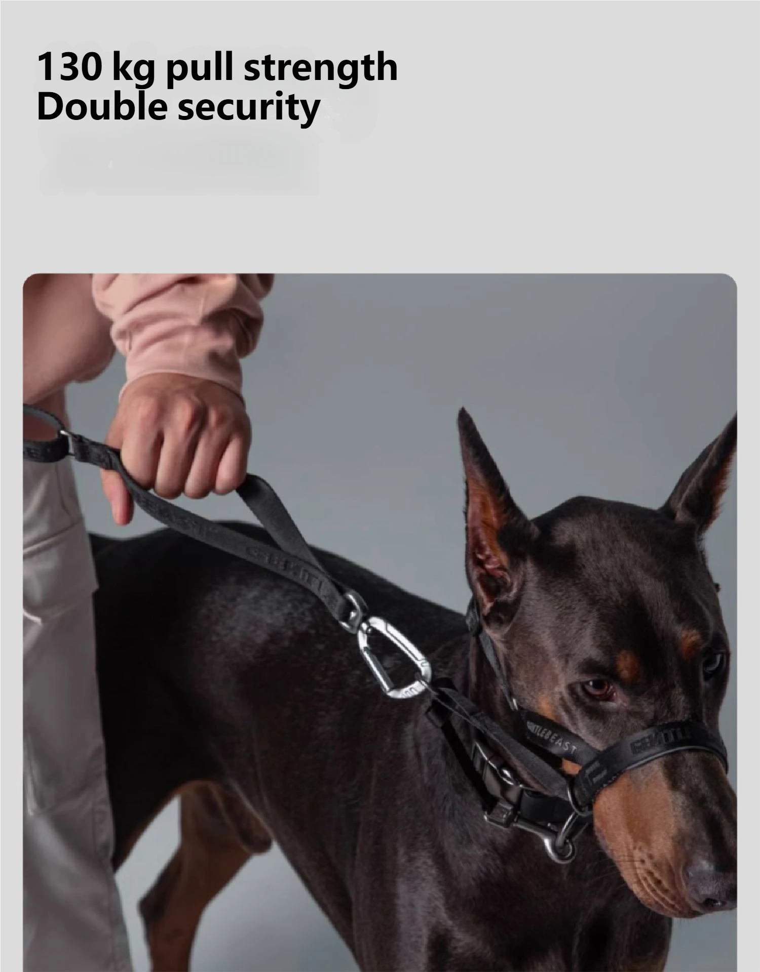 Midnight Walker Dog Headcollar – Moonless Night detail image 9
