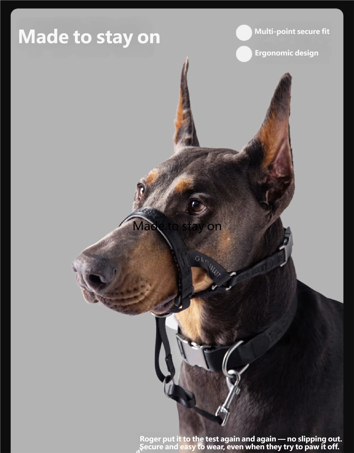 Midnight Walker Dog Headcollar – Moonless Night detail image 11