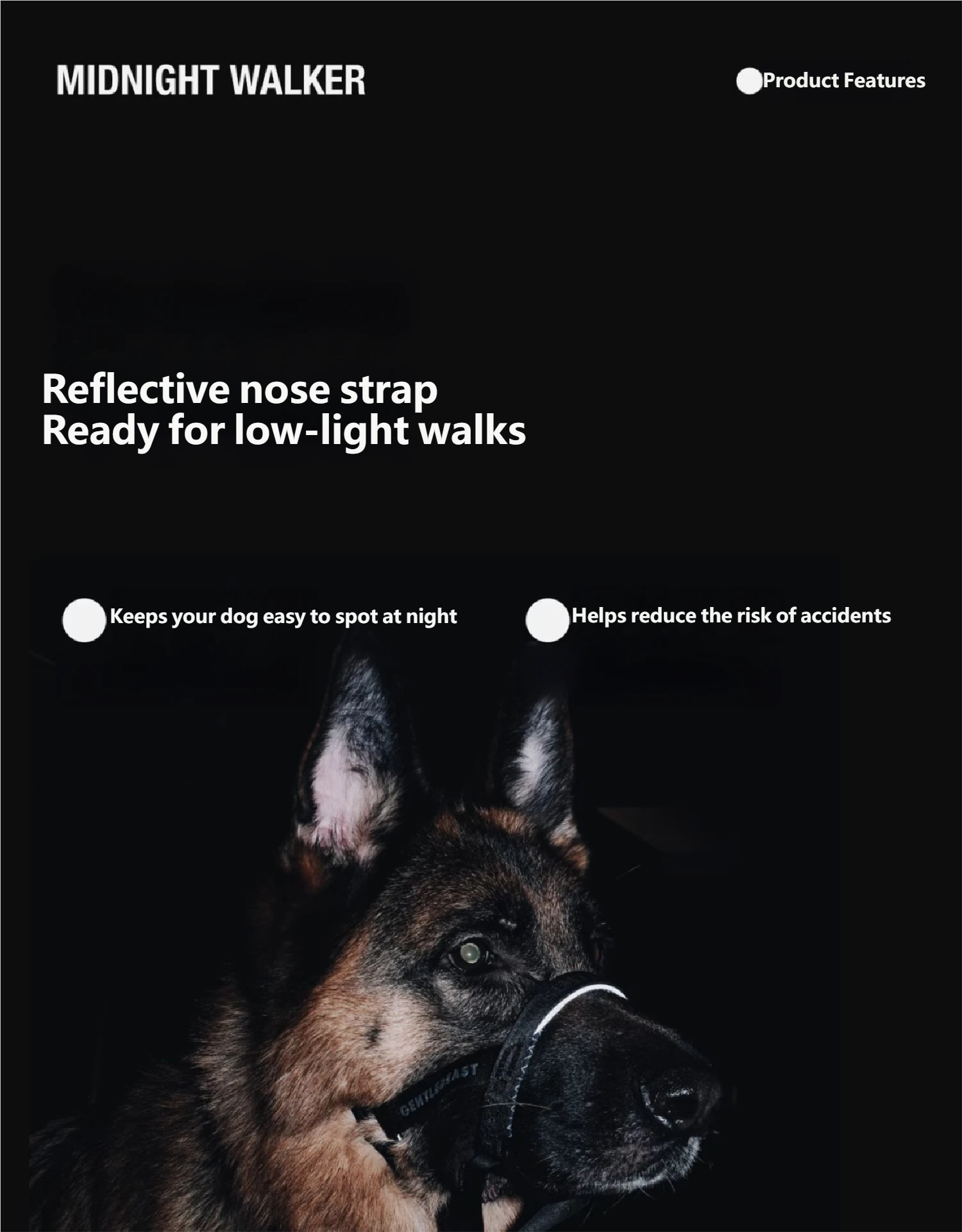 Midnight Walker Dog Headcollar – Moonless Night detail image 12