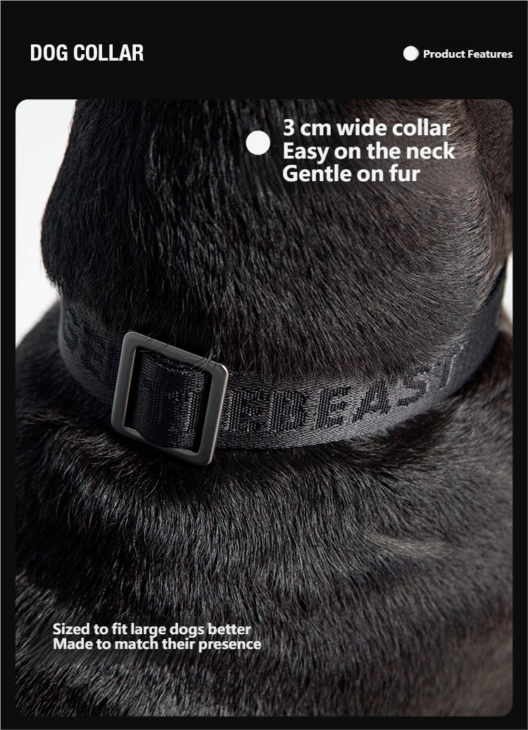 Midnight Walker Dog Collar Moonless Night detail image 5