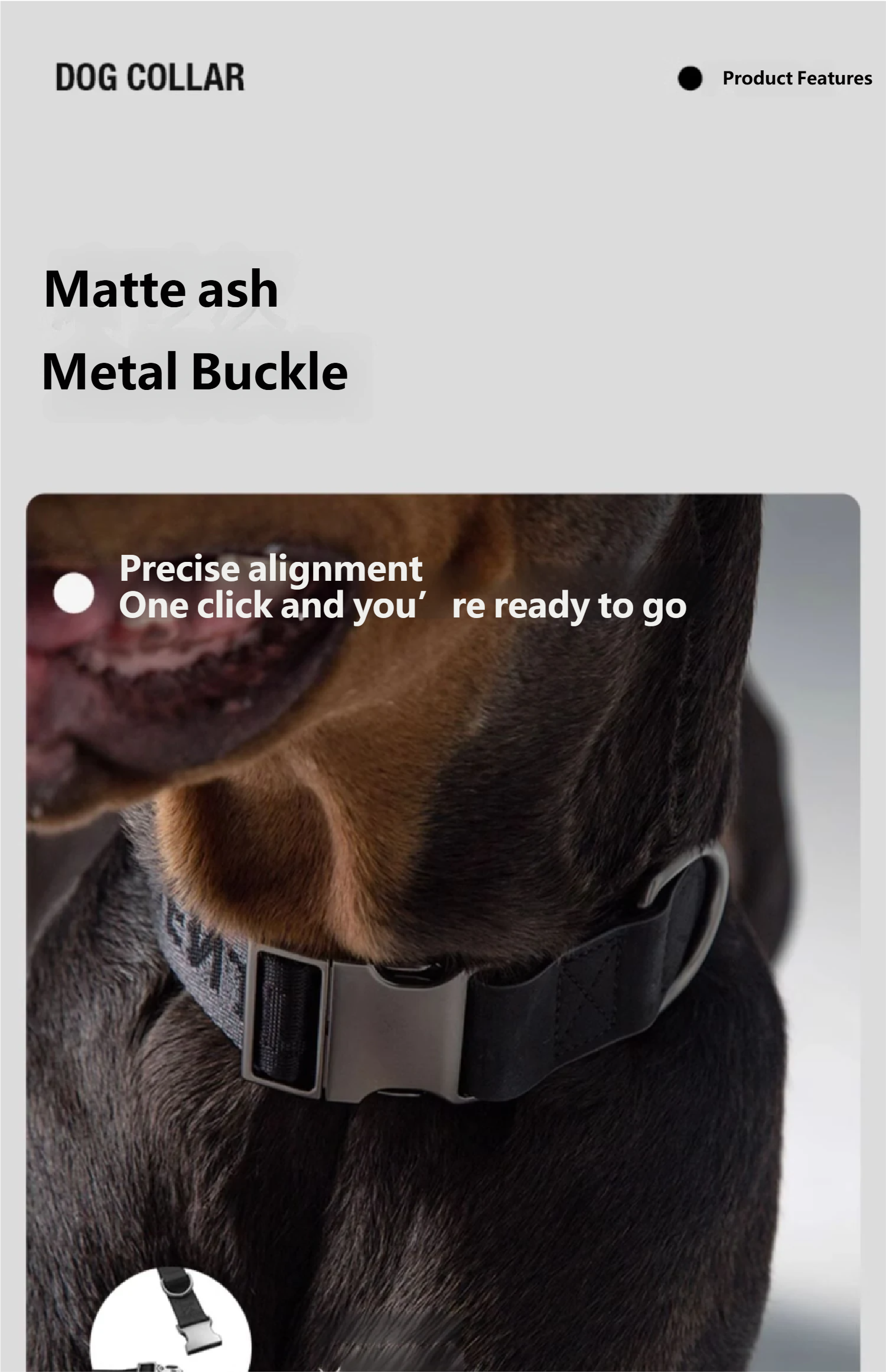 Midnight Walker Dog Collar Moonless Night detail image 7